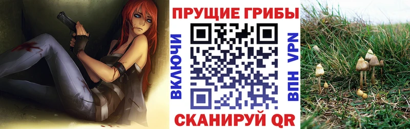 Галлюциногенные грибы Cubensis Игра